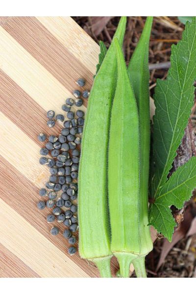 Karşı Köyden 150 G Okra Seed - Okra Seed, Abelmoschus Esculentus