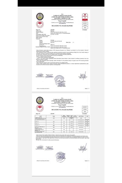 BİZİM TAT Natural Sızma Zeytinyağı 5 Litre