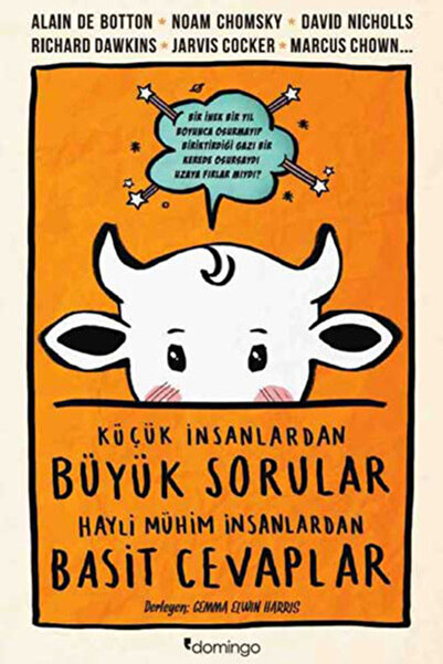 Domingo Yayınevi Küçük İnsanlardan Büyük Sorular