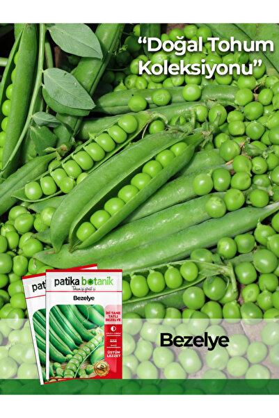 Patika Botanik 50 Adet Taze Bezelye Tohumu (UTRİLLO, ARAKA)