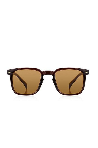 Aqua Di Polo 1987 Unisex Sunglasses Brown APSI001907