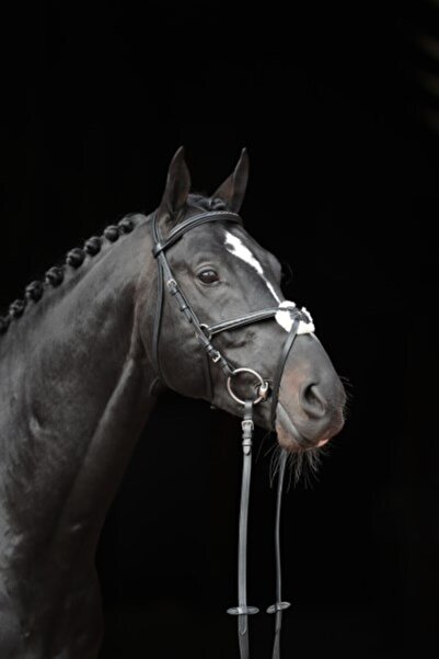 cavalliero Ithal Başlık MEXIKA Cob siyah