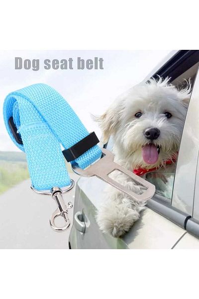 TİNEKE Turquoise Pet Vehicle Seat Belt and Cat Dog Car Collar