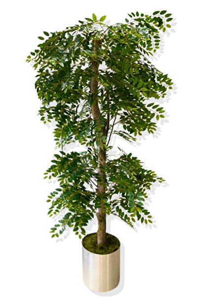 Cihan Çiçekçilik Şeflera 180 Cm Yapay Ağaç Metal Saksı