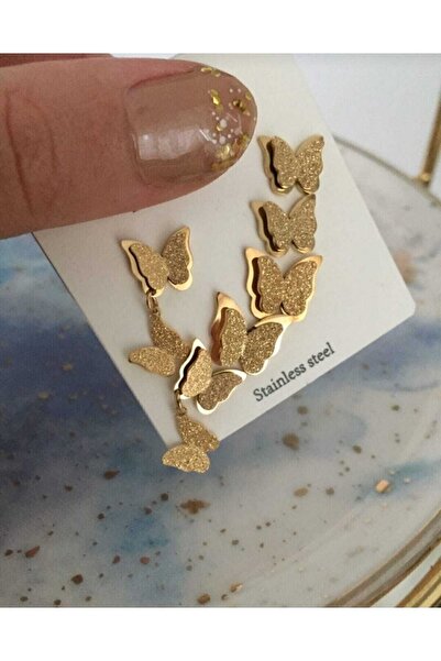 cover story Kadın 6'lı Kelebek Kombin Çelik Küpe