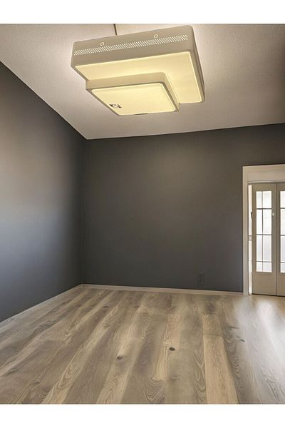 Uçar 3 Color Leaves Lighting Plafonier - LED Ceiling Light