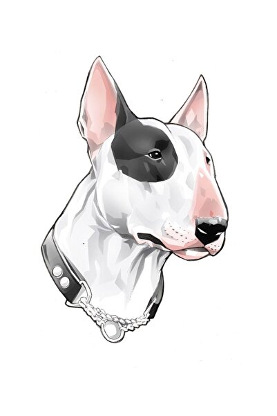 MegaSticker ملصق سيارة Bull Terrier، دراجة نارية، كمبيوتر محمول، خوذة، ملصق س...