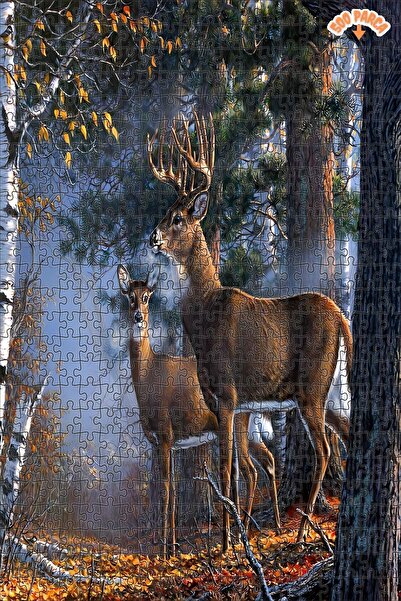 Teona Ahşap Sonbahar Ormanındaki Geyik Dekoratif Çift Katlı Çerçeveli Asılabi...