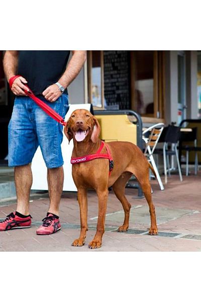 Ezydog Quick Fit Harness - Red