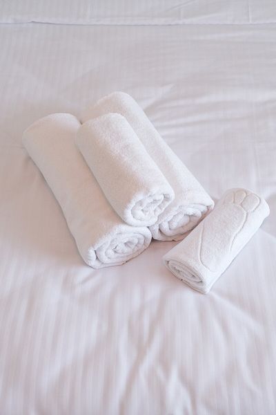 Lawon Victoria Series 4-Piece Bath Towel Set
