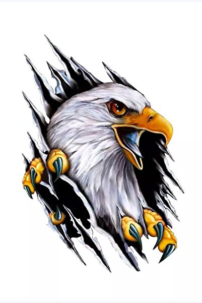 MegaSticker Şahin Motorsiklet, Kask , Laptop Ve Araç Sticker 20x13 Cm