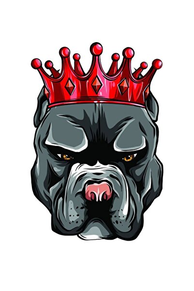 MegaSticker ملصق سيارة King Pitbull، دراجة نارية، كمبيوتر محمول، خوذة، ملصق س...