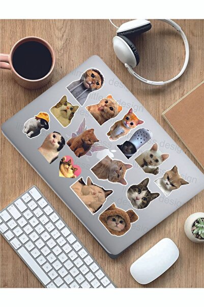 Limitless Design Cats Kediler Kedi Temalı Laptop Tablet Defter Araba Motor st...