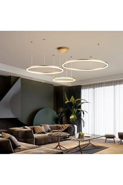 CATLUZ Gold Çember Ø40,60,80cm Led Lamba,yuvarlak Sarkıt Avize,modern Aydınlatma,dekoratif 3000k