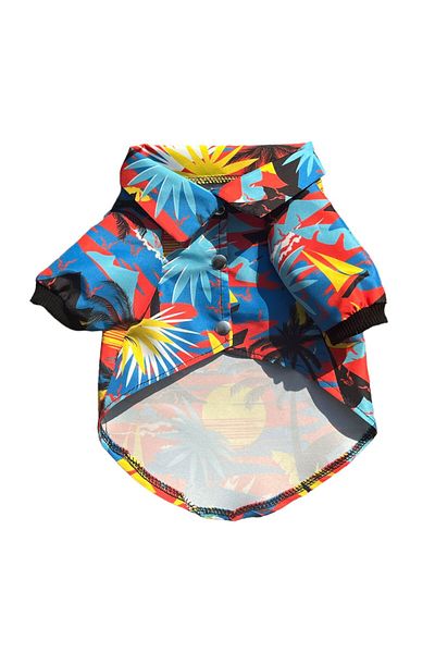 PetiliDünya Summer Beach Dog Shirt and Clothes Set