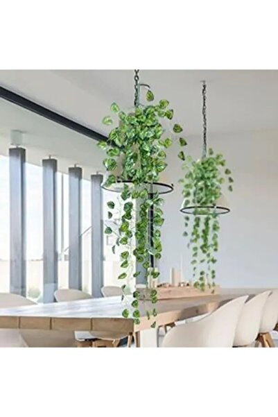 YASİMA KARPUZ 9 DAL SARKIT SARMAŞIK EV VE DUVAR SÜSÜ