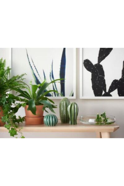 IKEA طقم صبار مزخرف مكون من 3 قطع - Sjalslıgt
