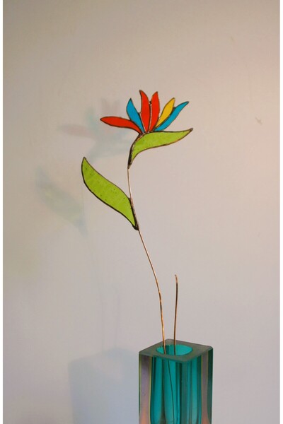 anonim Vitray Çiçek (cennet kuşu)