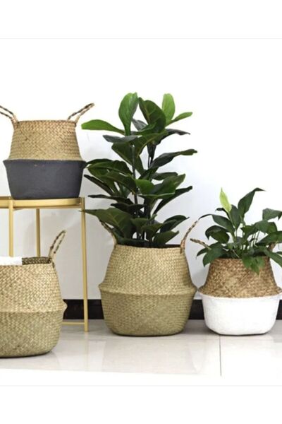 IKEA Fladis Saksı Sepet Deniz Sazı Sepet 25 Cm Min. Yükseklik: 18 Cm Yüksekli...