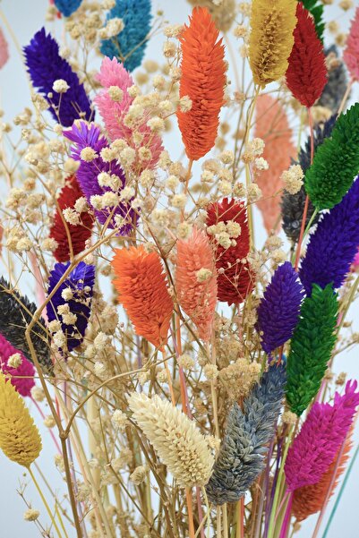 Dekora Çiçek Aranjament de 30 de ramuri de iarbă uscată (floare de păsărică) și Cipso alb Color Shaleen