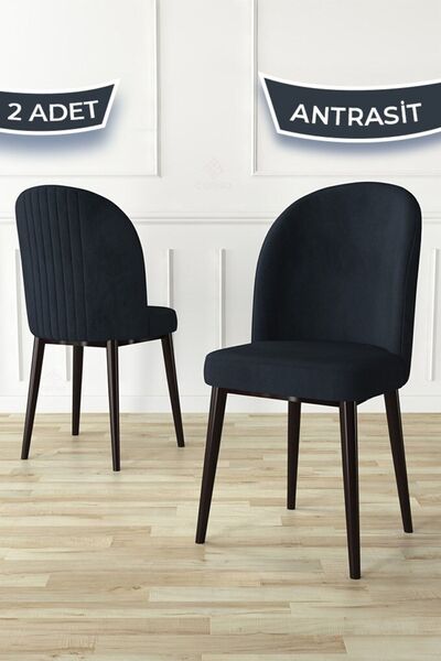 Canisa Aste Serisi 2 Adet Antrasit Yemek Odası Sandalyesi Metal Kahve Iskelet...