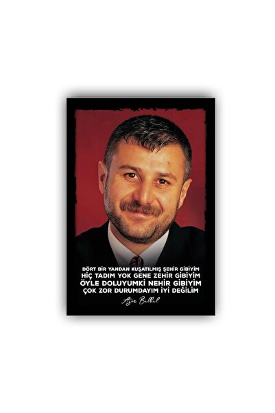 Teona Ahşap AZER BÜLBÜL Retro Ahşap Poster (Ölçü:20x30)