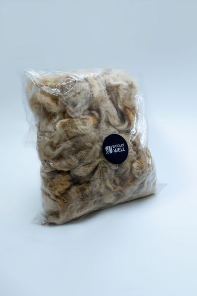Woolly Well Yıkanmamış Koyun Yünü 300 Gram (lanolin) %100 Doğal