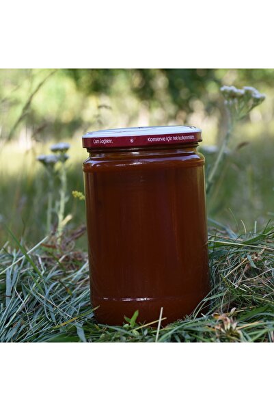 EYLÜL ÇİFTLİĞİ KUŞBURNU MARMELATI 1000 GR