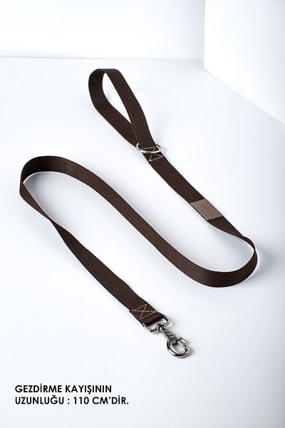 pasiole Dog Collar, Dog Walking Strap, Adjustable, Sturdy Dog Collar - Stagg