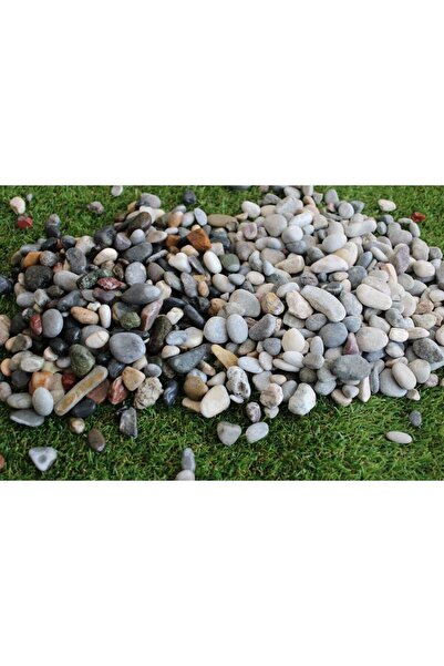 garden Moda Dere Çakıl Taşı 10 Kg 7-15 mm Mıcır Dere Taşı Dolomit Taş Teraryu...