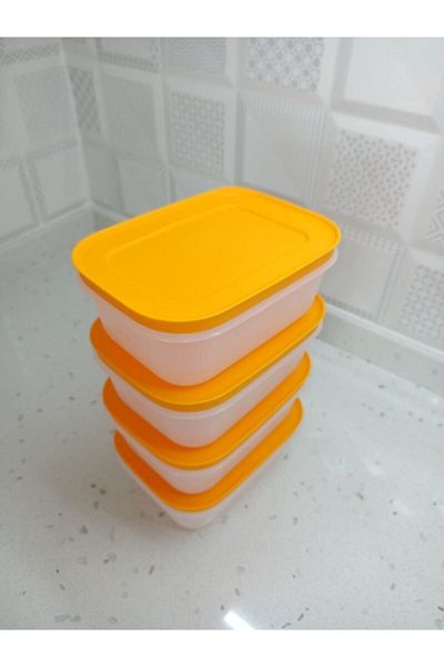 Tupperware Alaska 4-Piece Storage Container