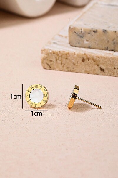 PSGT K9 Sevimli Titanyum Çelik Küpe Moda Küpe Taşlı | Roman Tasarım Küpe | Paslanmaz Çelik | Unisex