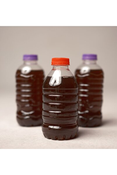 BulindaSHOP Sıvı Bitki Gübresi El Yapımı Özel Karışım Sukulent & Kaktüs & Yeş...