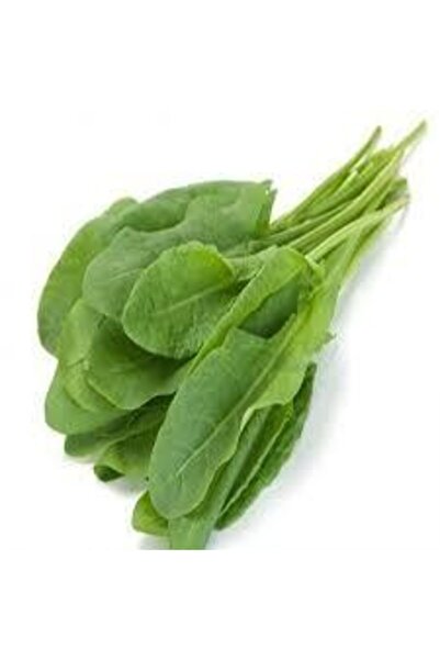 Köy Tohumları 100 Adet Tohum Kuzu Kulağı Tohumu Koç Kulağı Tohumu Ekşi Otu To...