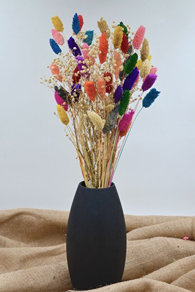 Dekora Çiçek Aranjament de 30 de ramuri de iarbă uscată (floare de păsărică) și Cipso alb Color Shaleen