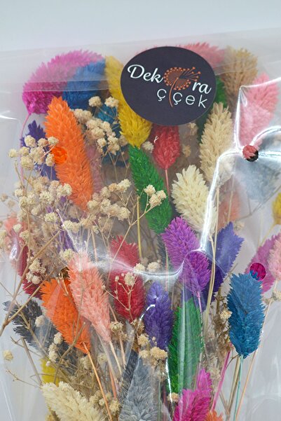 Dekora Çiçek Kurutulmuş Kuş Otu (Palaris Çiçeği) ve Beyaz Cipso Renk Şöleni Aranjman 30 Dal