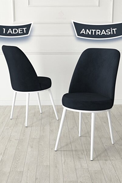 Canisa Jaxe Serisi 1 Adet Antrasit Yemek Odası Sandalyesi Metal Beyaz Iskelet...
