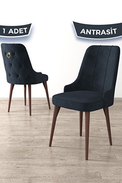 Canisa Concept Pare Serisi 1 Adet Antrasit Sandalye Babyface Kumaş Ceviz Ayaklı