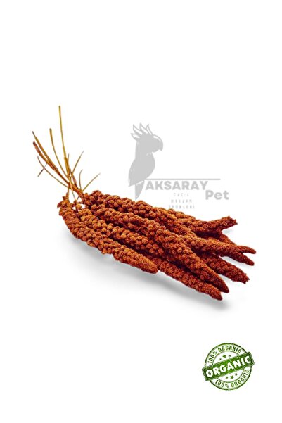 AKSARAYPET Doğal Kızıl Dal Darı 250gr
