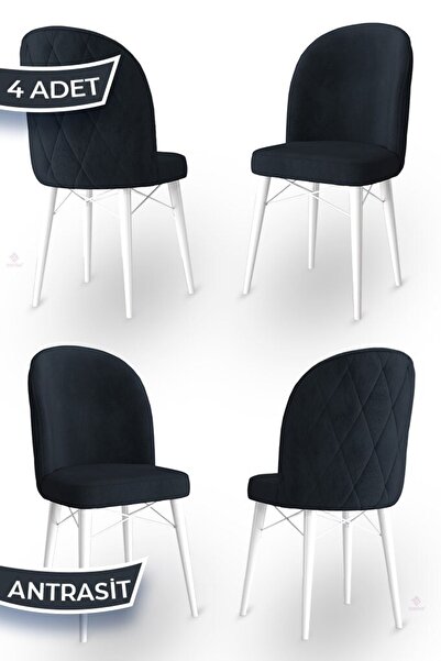 Canisa Bika Serisi 4 Adet Antrasit Mutfak Sandalyesi Beyaz Gürgen Ayaklı 1. S...