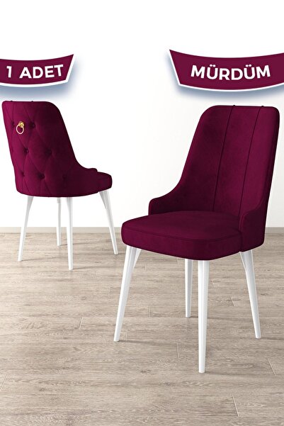 Canisa Enoa Serisi, Beyaz Gürgen Ayaklı Sandalye, Mürdüm Sandalye, 1.sınıf Ba...