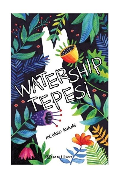 Epsilon Yayınevi Watership Tepesi