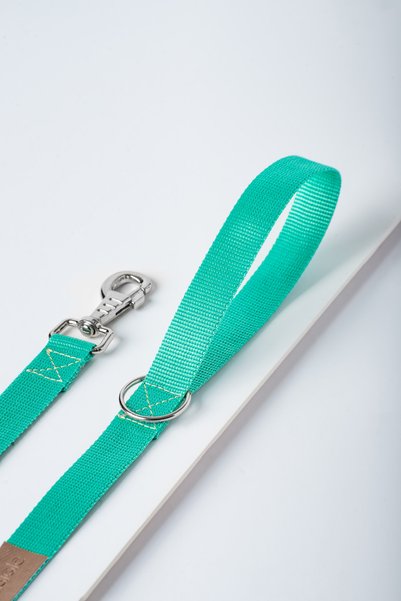 pasiole Dog Collar, Dog Walking Harness Strap, Adjustable, Sturdy Dog Collar - Lente