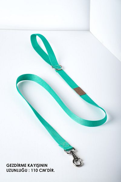 pasiole Adjustable Sturdy Dog Collar - Lente