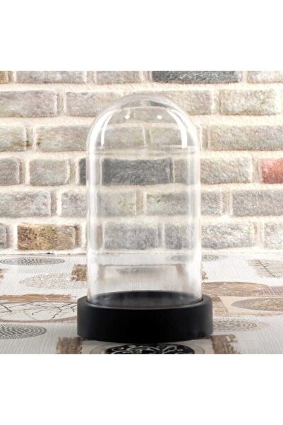 Genel Markalar Ters Fanus Plastik Taban Mika Cam