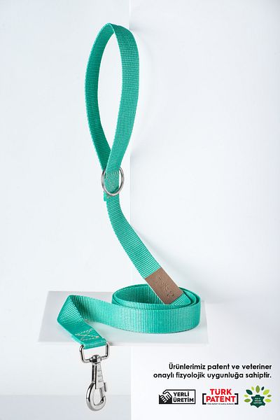pasiole Adjustable Sturdy Dog Collar - Lente