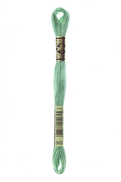 Dmc Muline Hand Embroidery Threads-563