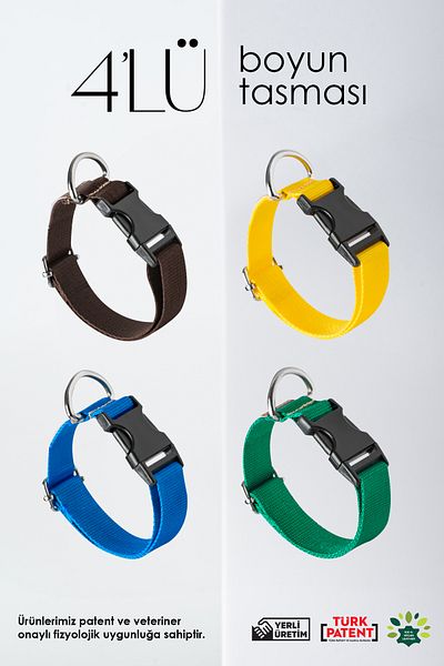 pasiole Set of 4 Adjustable Dog Collars - Water