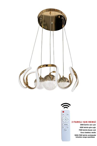 RSCOLLECTIONS Arya 3 top