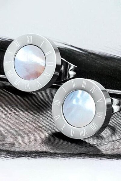 PSGT K152 Sevimli Titanyum Çelik Küpe Moda Küpe Taşlı | Roman Tasarım Küpe | Paslanmaz Çelik | Unisex